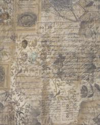 Baumwollstoff Wallflower PW, Rosen multi, Breite 112cm 