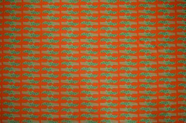 Baumwolljersey Carlo Croc Breite 150cm 