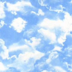 Baumwollstoff blue gail 112cm 