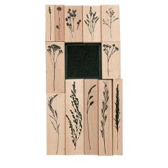 Stempelset Transformation, Gräser 8x16cm, 12 Stempel, 1 Stempelkissen 