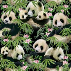 Baumwollstoff Allover Panda Black Breite 112cm 