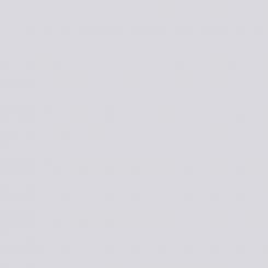 plottiX Permanent Vinylfolie 31,5cm x 1m - Transparent 