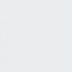 plottiX Wandtattoo Vinylfolie 31,5cm x 1m - Weiß 