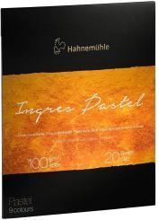 The Collection Ingres Pastel, 100g/m², 24x31cm, 20 Blatt,9 Farben 