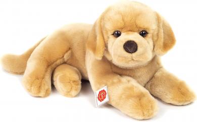 Labrador Retriever 45 cm 