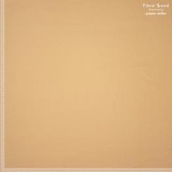 Woven co/ly Denim 98%co 2%ly 