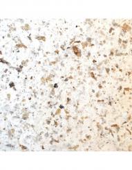 Maulbeerpapier Kaffee, Mix 160g/m², 80x55cm 