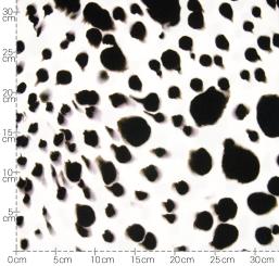 *Sally* 135cm HW22-23 