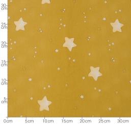 Baumwolljersey *Kitty Star* HW22-23 