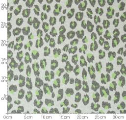 Punto *Leone* FS2023 