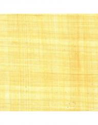 Papyrus 30x21cm A4 , 100g/m² 