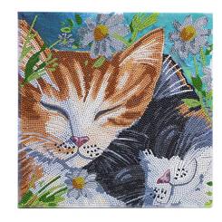 Crystal Art Kit Sleepy Cats 30x30cm 