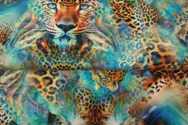 Baumwolljersey Eyes of A Hunter'' Digital printed jersey, Breite 150cm 