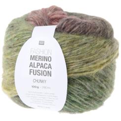 Fashion Merino Alpaca Fusion Chunky Warm Shades Fb. 010, 100g 280m 