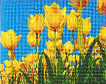 Crystal Art Kit Tulips mir bedrucktem Keilrahmen  40x50 cm 