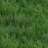 Baumwollstoff Landscape Grass Green Breite 112cm 