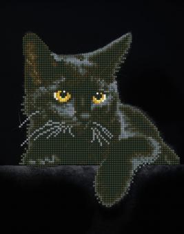 Pracht DIAMOND DOTZ Midnight Cat 36,70x29,10 cm mit Rahmen 