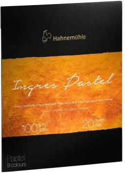 The Collection Ingres Pastel, 100g/m², 24x31cm, 20 Blatt,9 Farben 