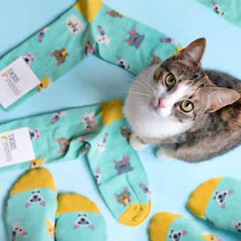 Katzenliebhaber Socken Größe 36-41 