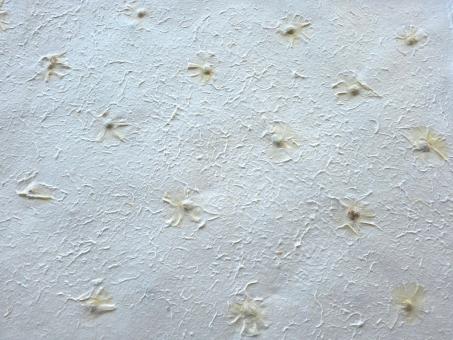 Maulbeerpapier mit Birma Blumen ca. 160 grs, 80x55cm 
